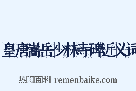 皇唐嵩岳少林寺碑近义词是什么意思的图片